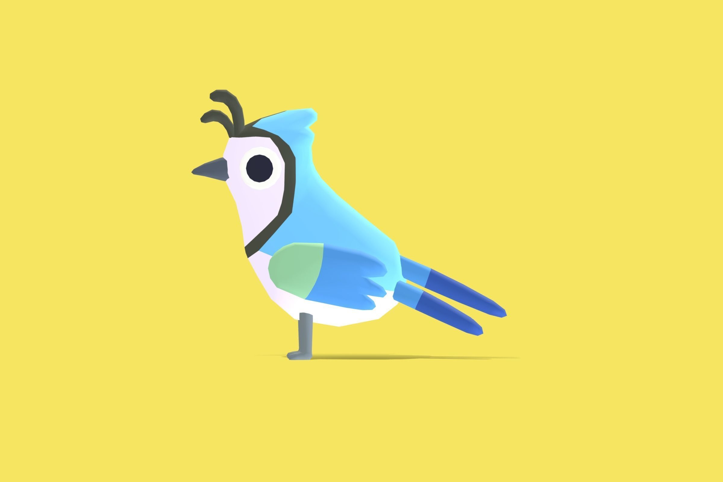 Quirky Series - White Throated Magpie Jay Low-poly 3D model_1