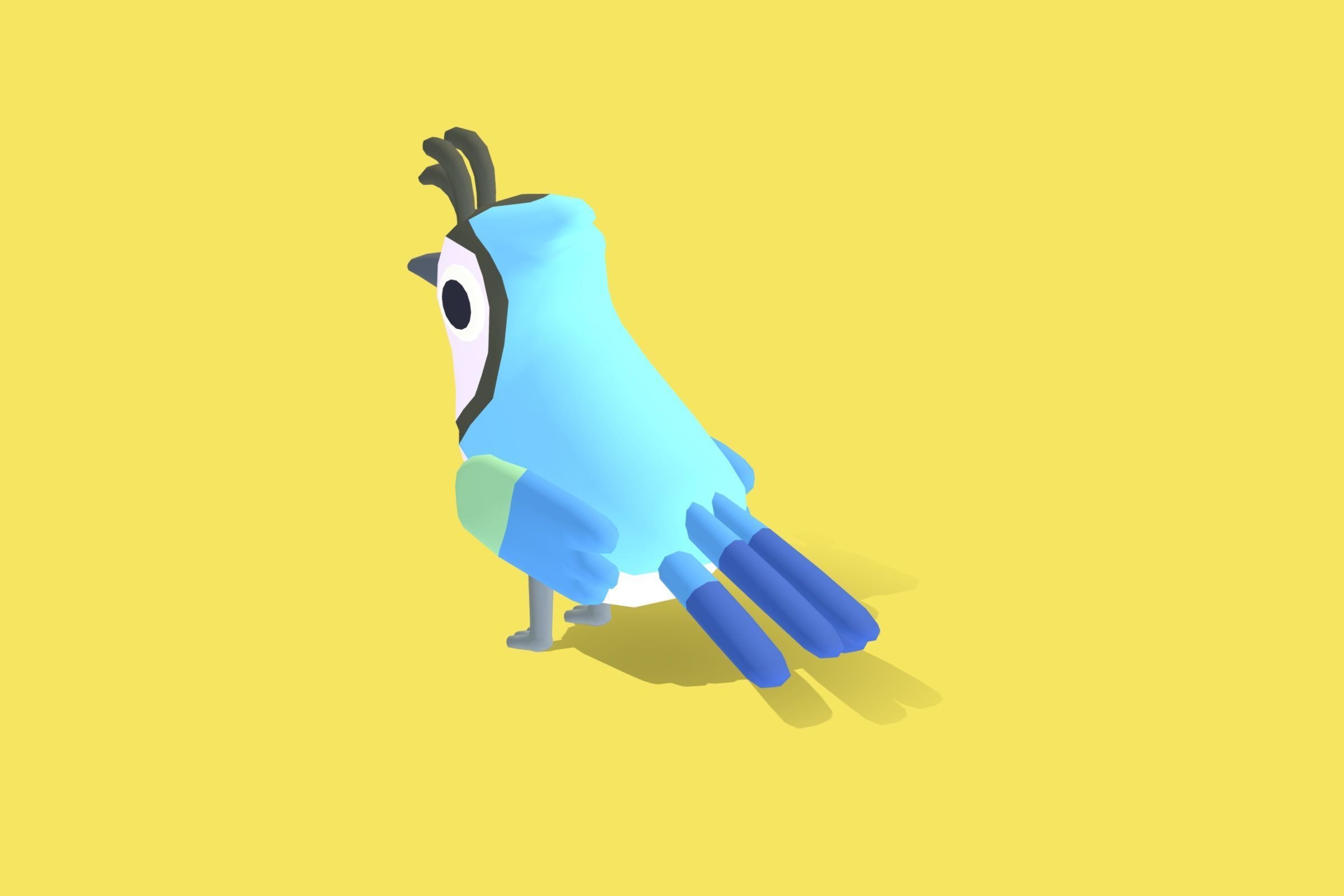 Quirky Series - White Throated Magpie Jay Low-poly 3D model_2