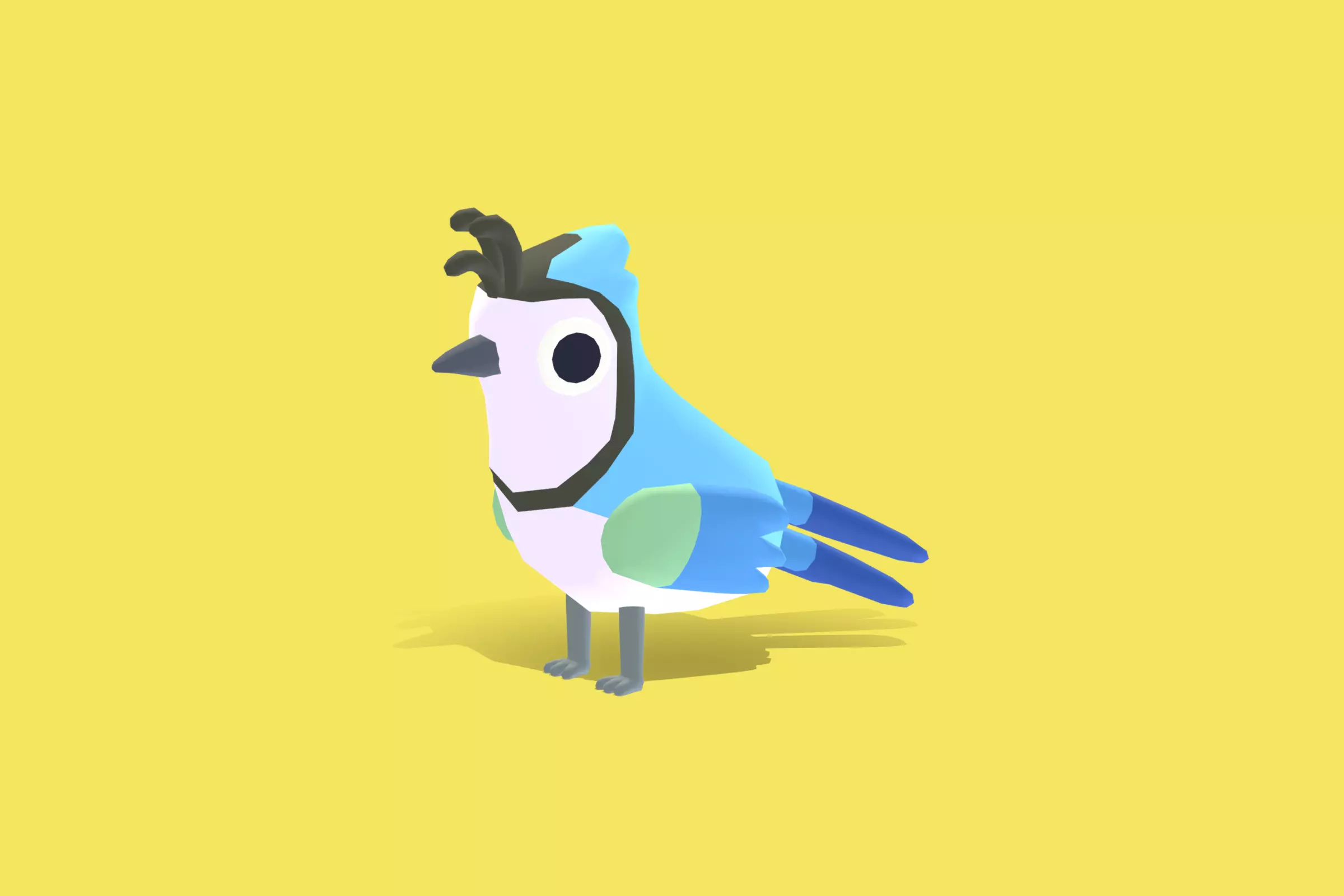 Quirky Series - White Throated Magpie Jay Low-poly 3D model_0