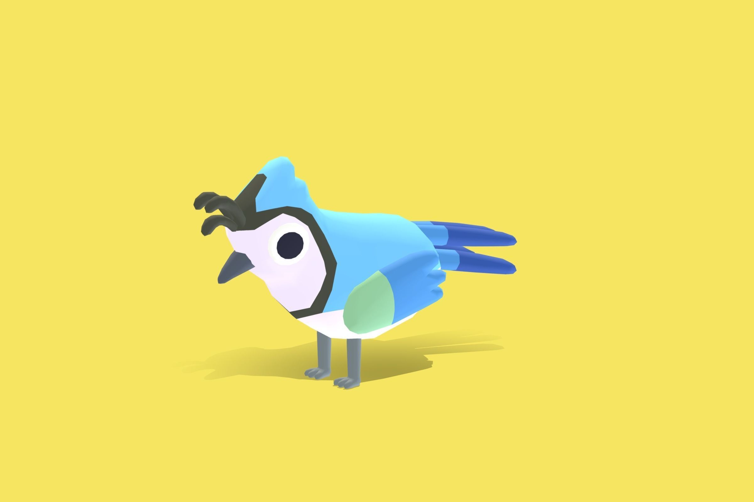 Quirky Series - White Throated Magpie Jay Low-poly 3D model_4