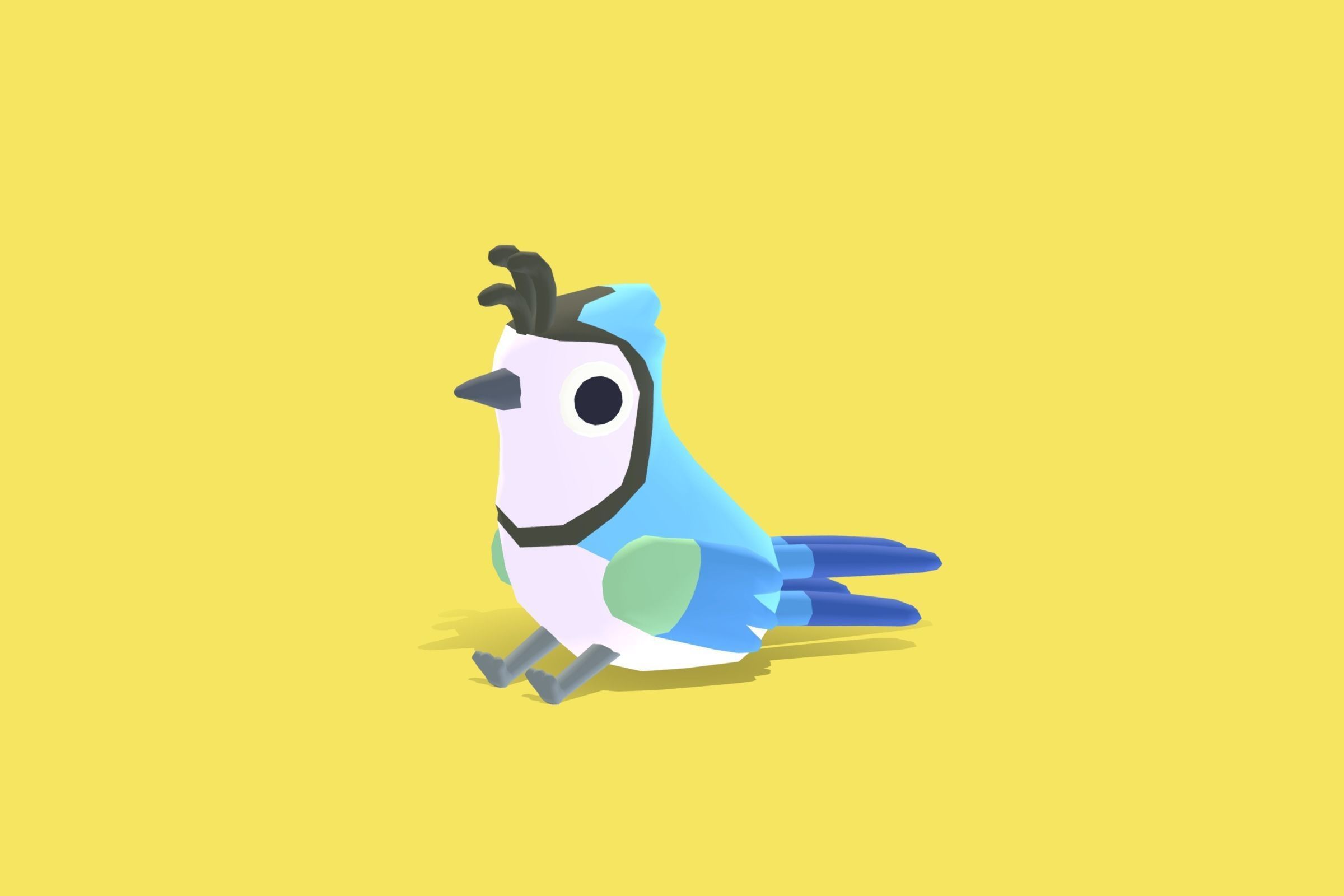 Quirky Series - White Throated Magpie Jay Low-poly 3D model_8