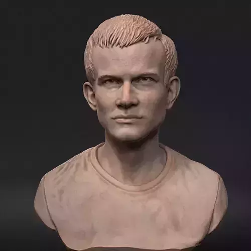 Vitalik Buterin 3D print model