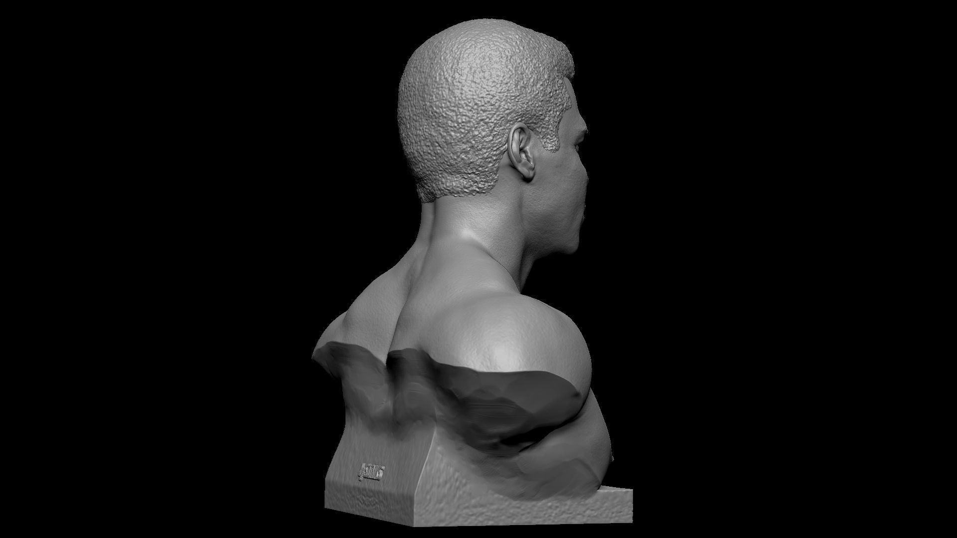 Muhammad Ali 3D print model_19