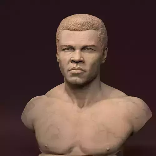Muhammad Ali 3D print model