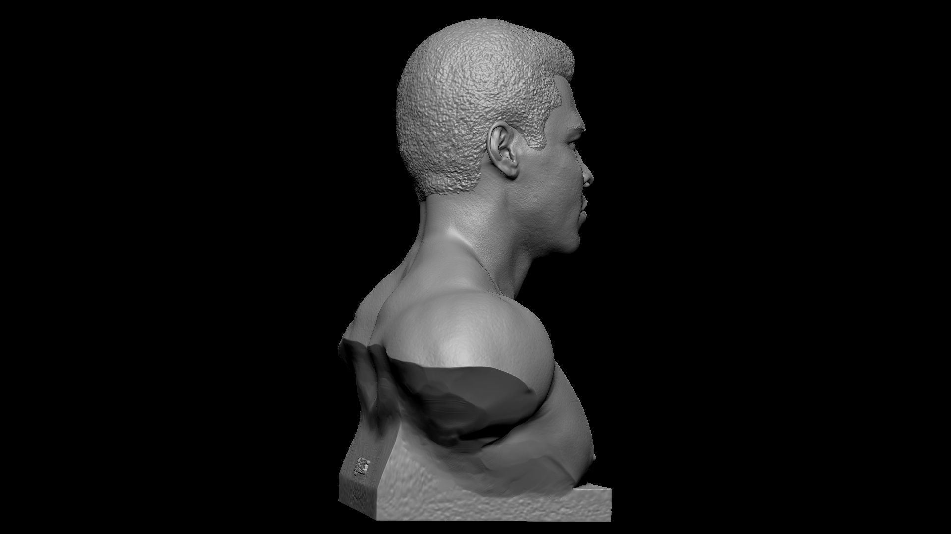 Muhammad Ali 3D print model_21