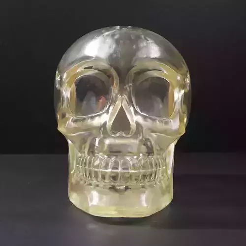 Skull Moneybox 3D Print Model-Chitubox supported 3D model