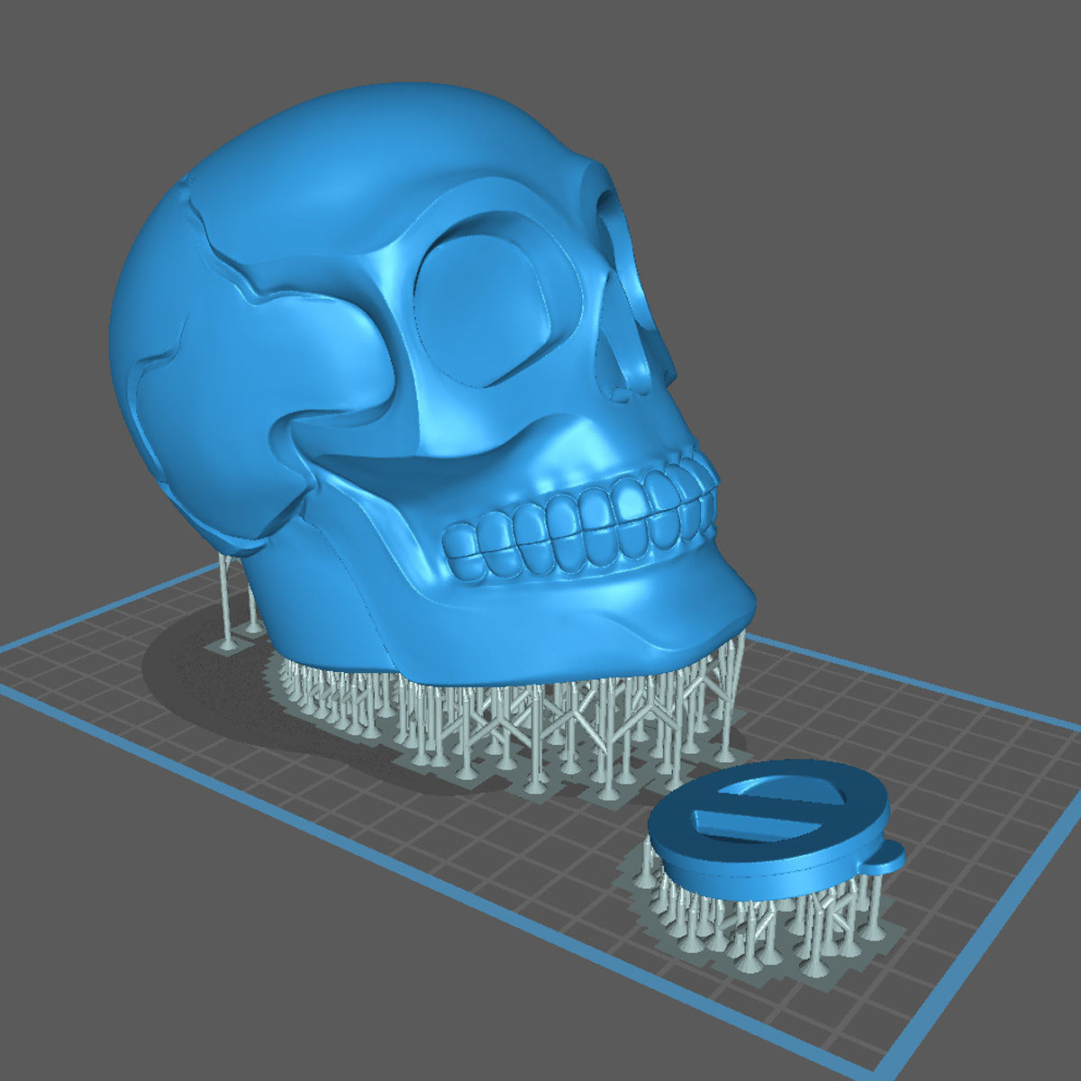 Skull Moneybox 3D Print Model-Chitubox supported 3D model_7