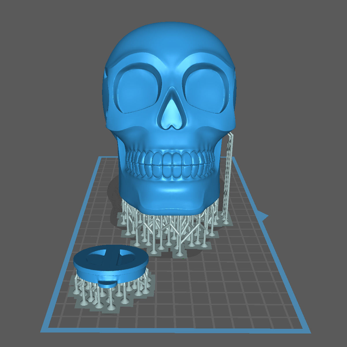 Skull Moneybox 3D Print Model-Chitubox supported 3D model_6