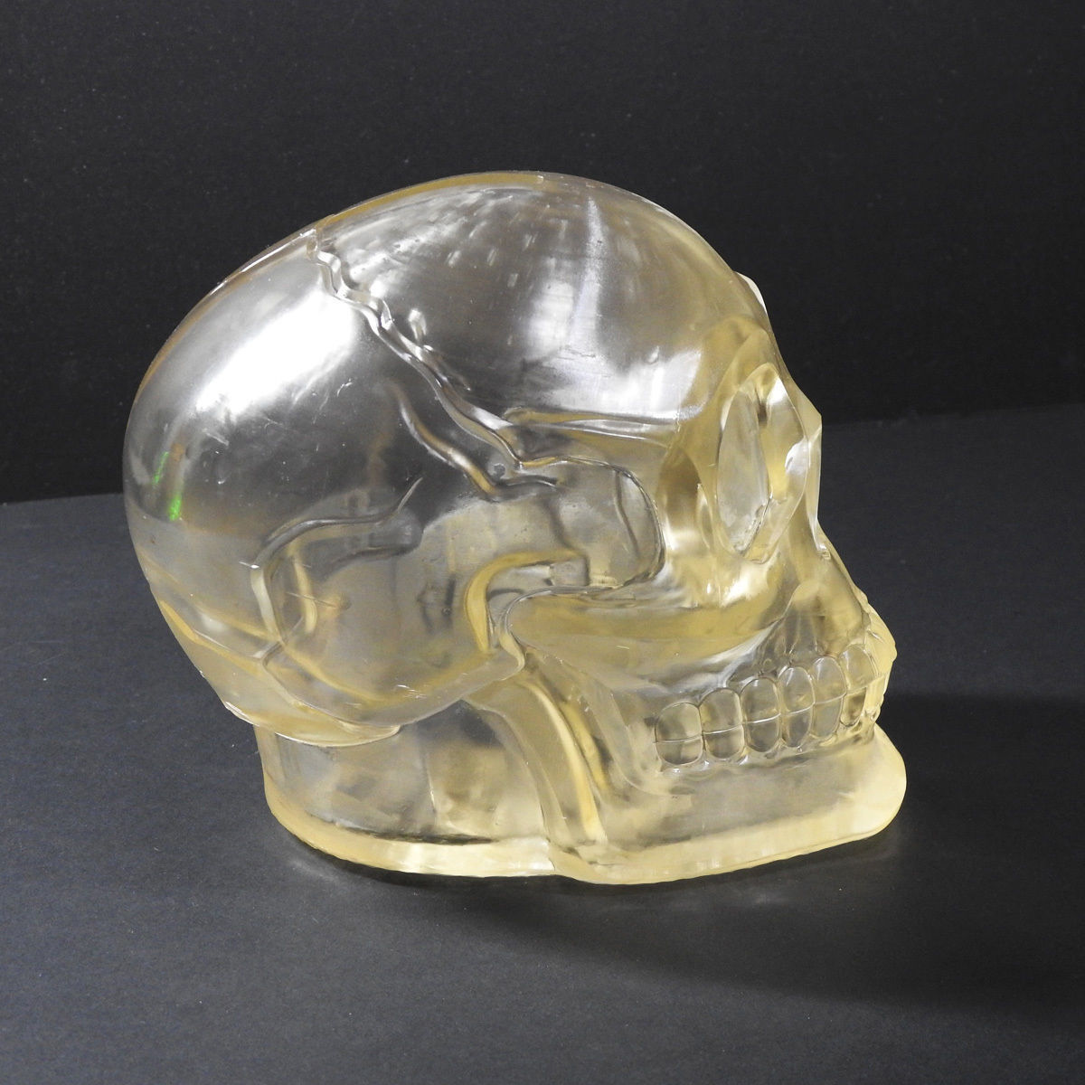 Skull Moneybox 3D Print Model-Chitubox supported 3D model_1