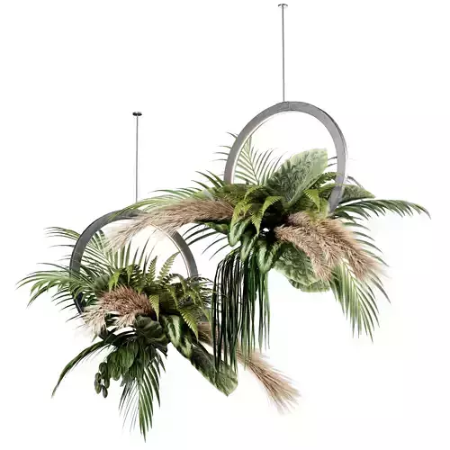  Indoor plant set42-hanging plant