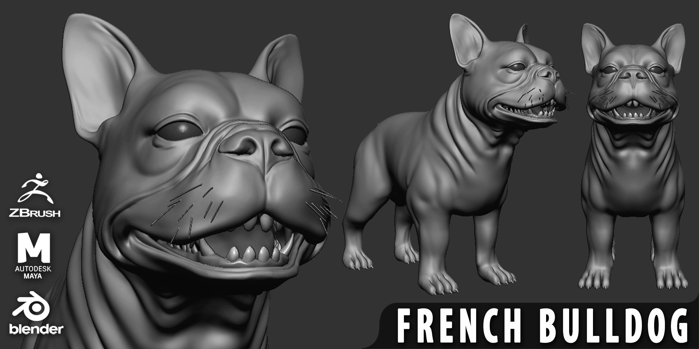 French Bulldog 3D model_1