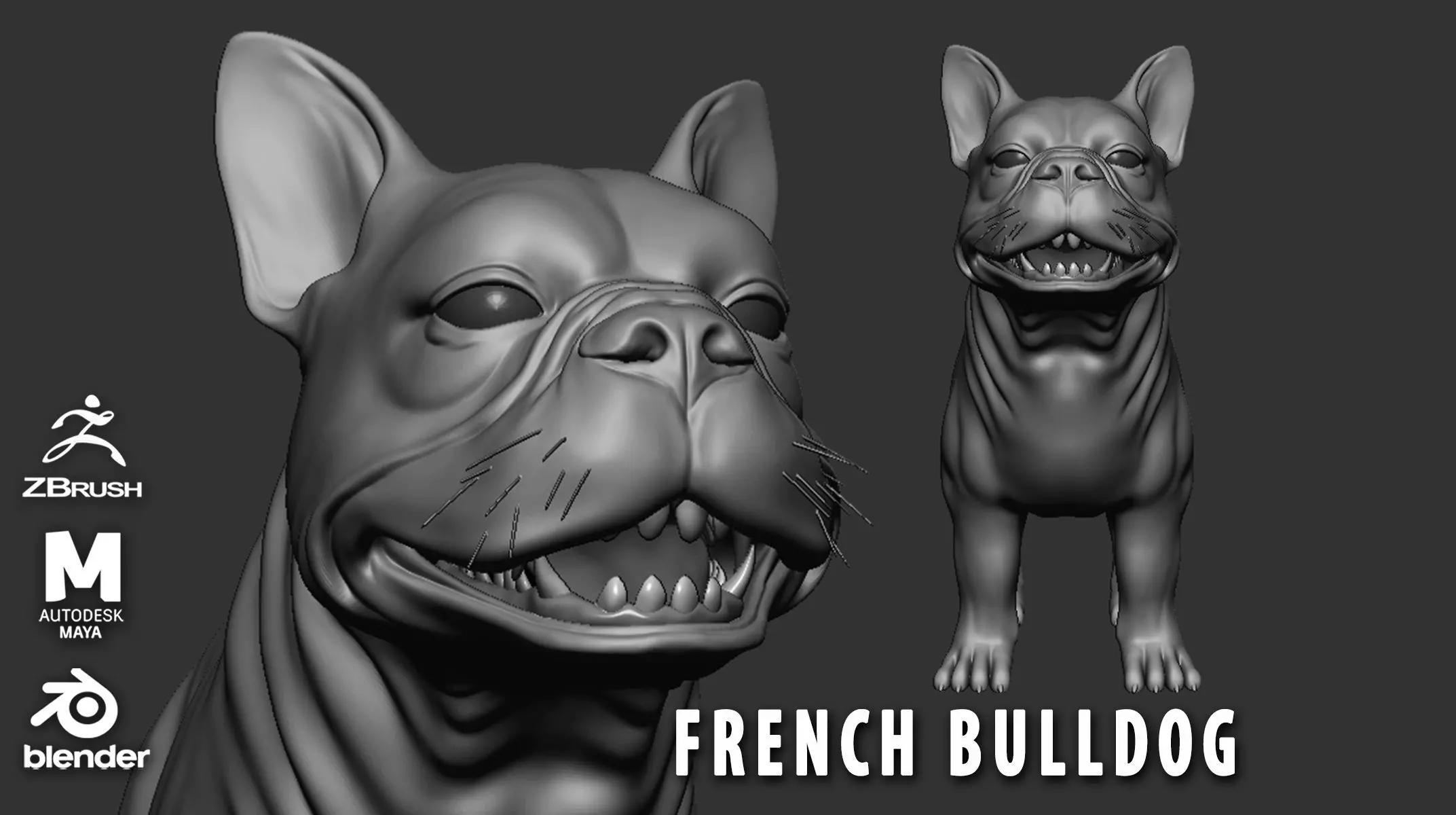 French Bulldog 3D model_0