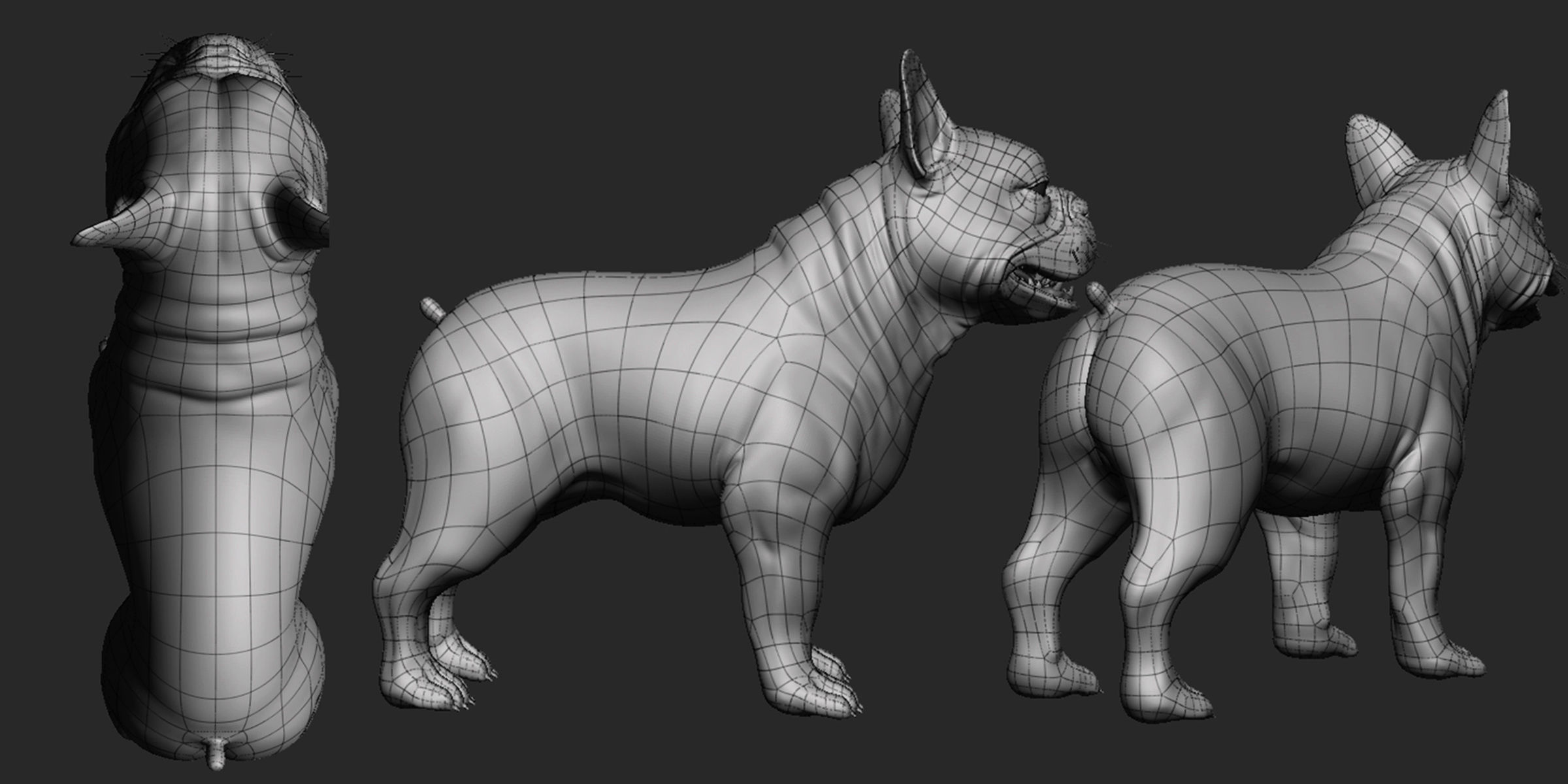 French Bulldog 3D model_4
