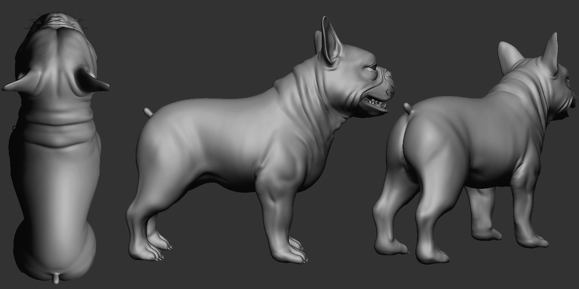 French Bulldog 3D model_3