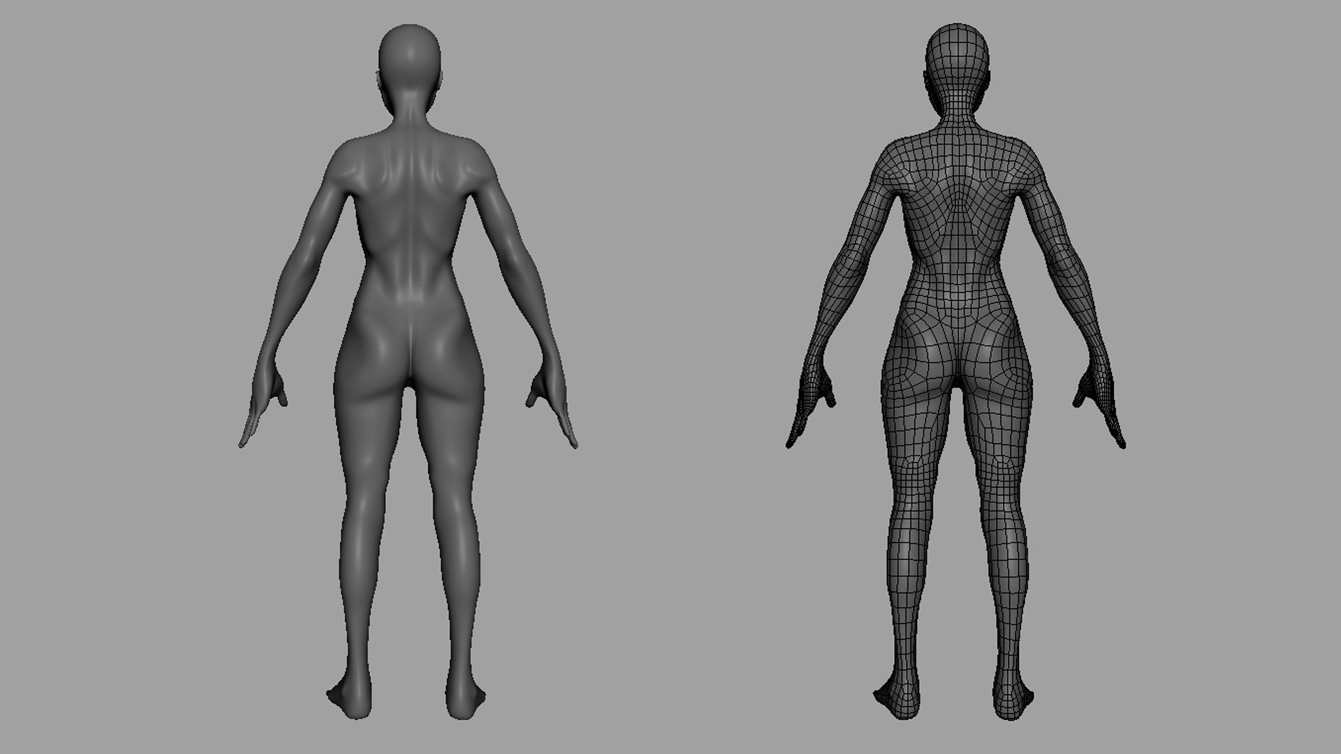 Thin Female Anatomy BaseMesh  Low-poly 3D model_8