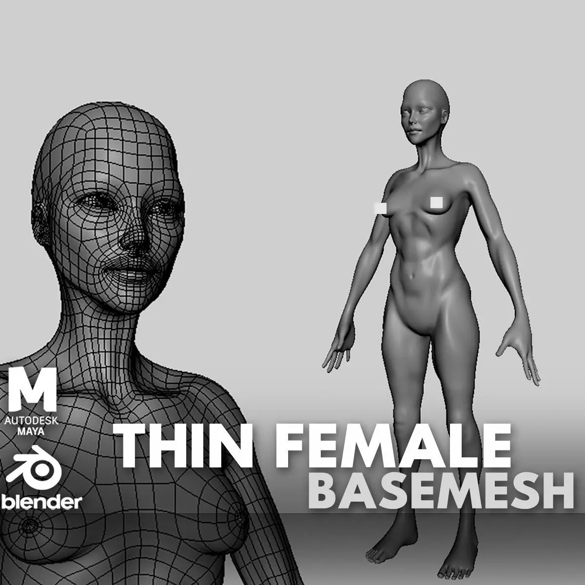 Thin Female Anatomy BaseMesh  Low-poly 3D model_0