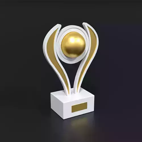 Innovation Trophy award