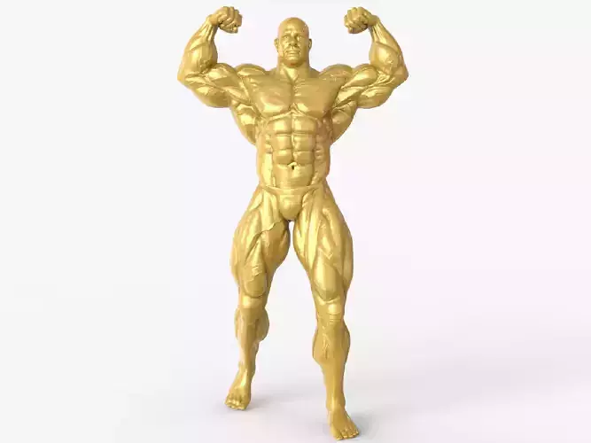 Bodybuilder Figurine Trophy