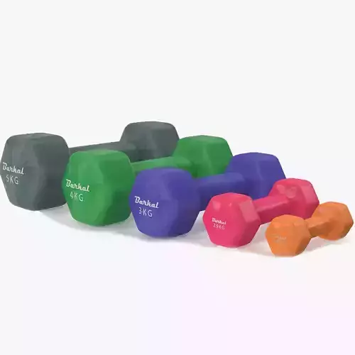  Dumbbell-Set