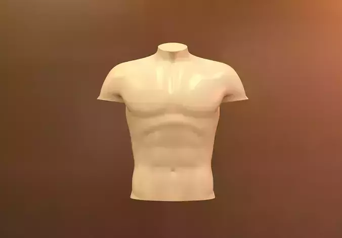 Anime Torso Male