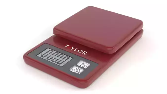 Digital Food Scale