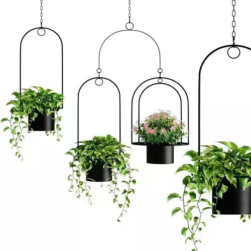 Set 2 Plant hanger Mou Ceiling 