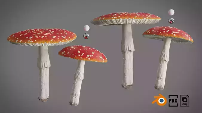 Mushrooms Fly Agaric or Amanita muscaria 02