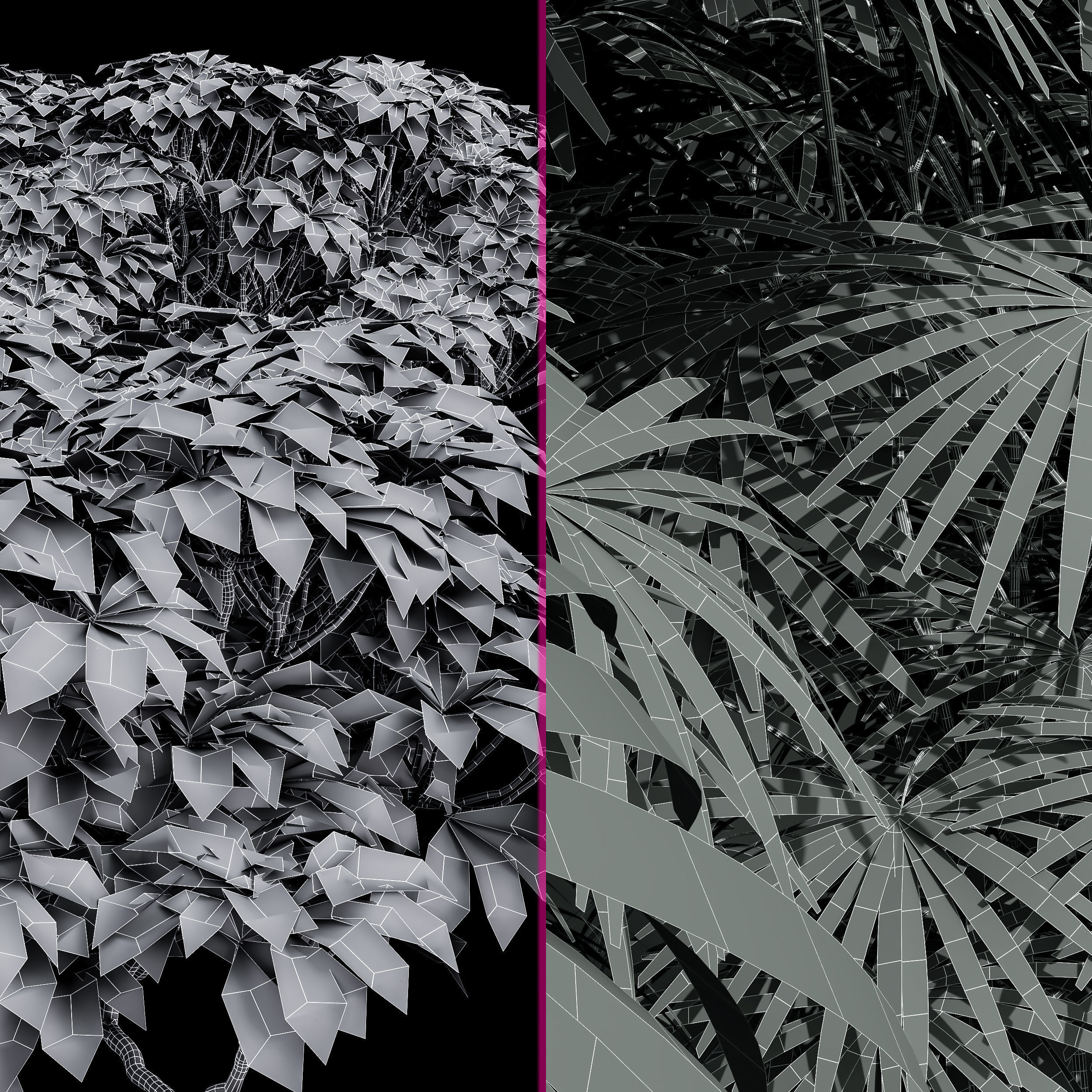 Rhapis Excelsa Edgeworthia Chrysantha Grandiflora Bush 8 bush 3D model_7