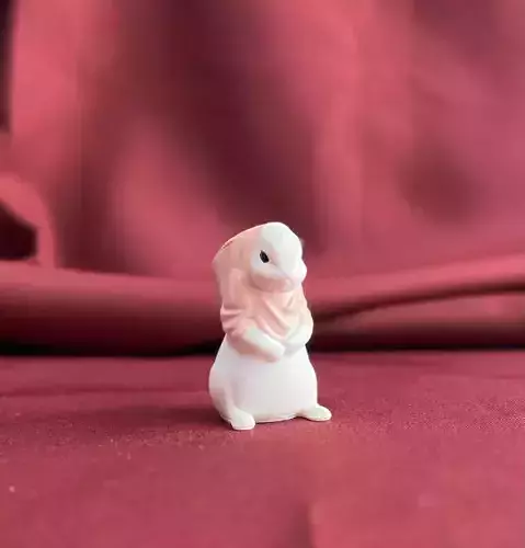 RABBIT WEARING A SHIRT 3D print model