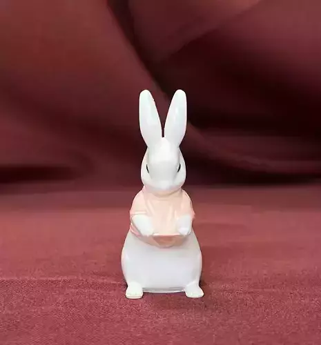 RABBIT WEARING A SHIRT 2 3D print model
