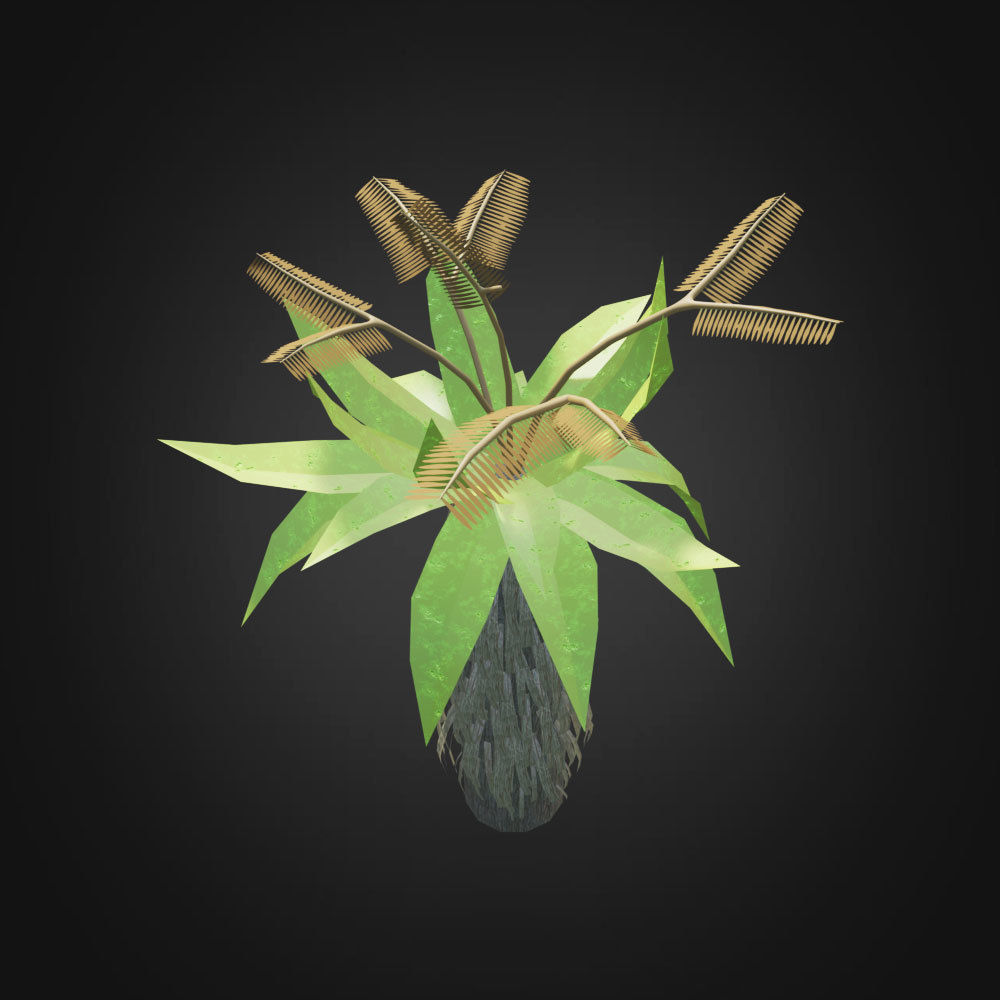 Tropical Plant 3D model_2