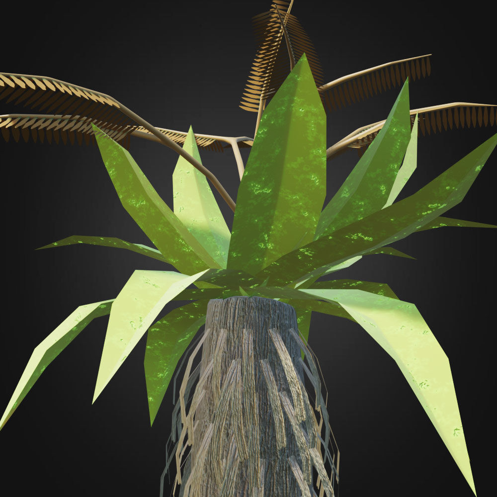 Tropical Plant 3D model_4