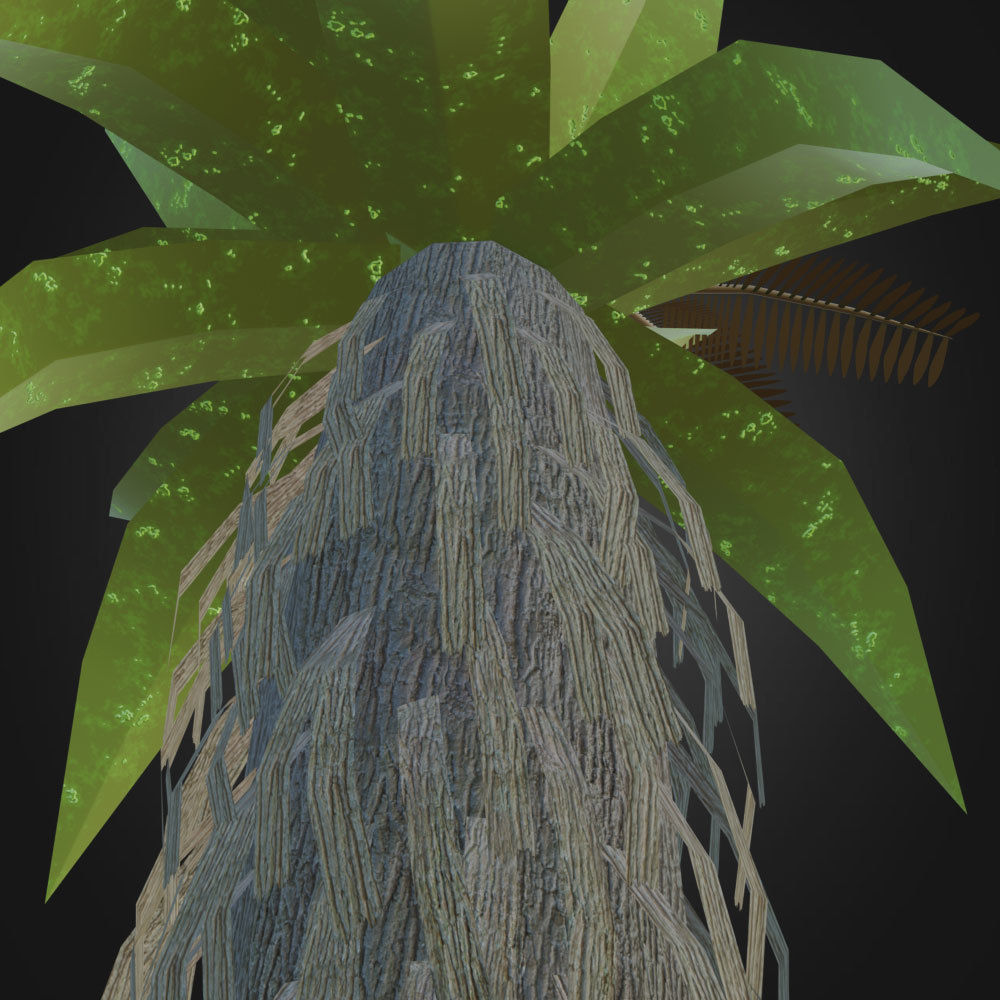 Tropical Plant 3D model_6