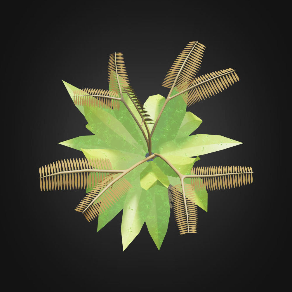 Tropical Plant 3D model_3