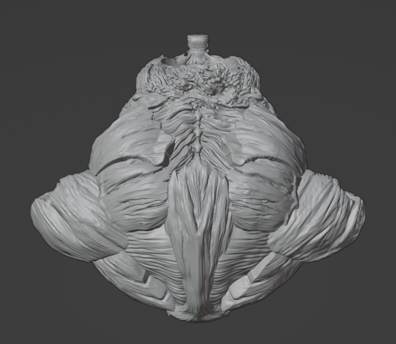 Venezuelan Bust, Baseball Boom : Andres Reiner And Scouting