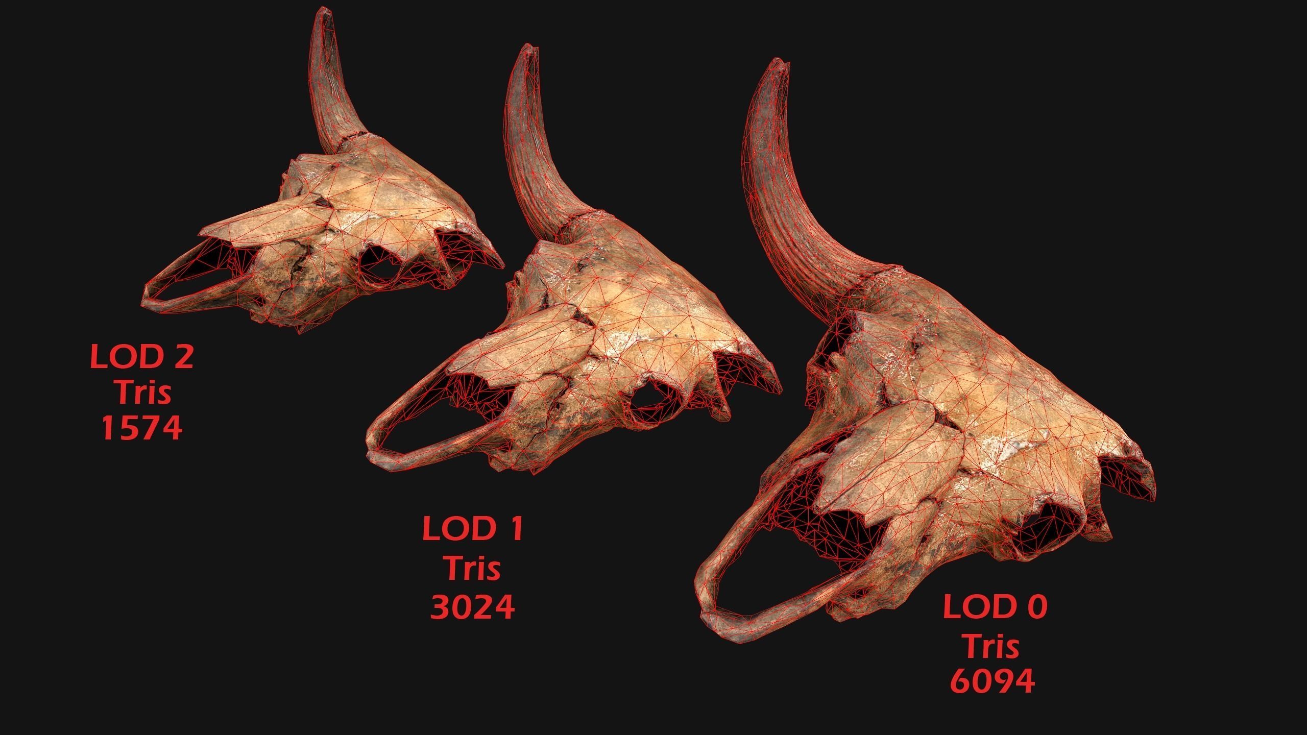 Bull Cow Skull Low-poly 3D model_3