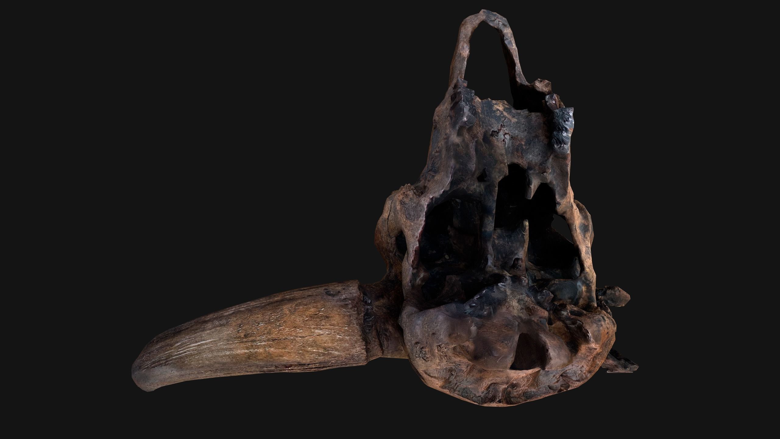 Bull Cow Skull Low-poly 3D model_21