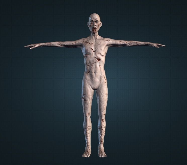 Ultra Real Male Zombie 3D Model and Animation Pack Low-poly 3D model_1