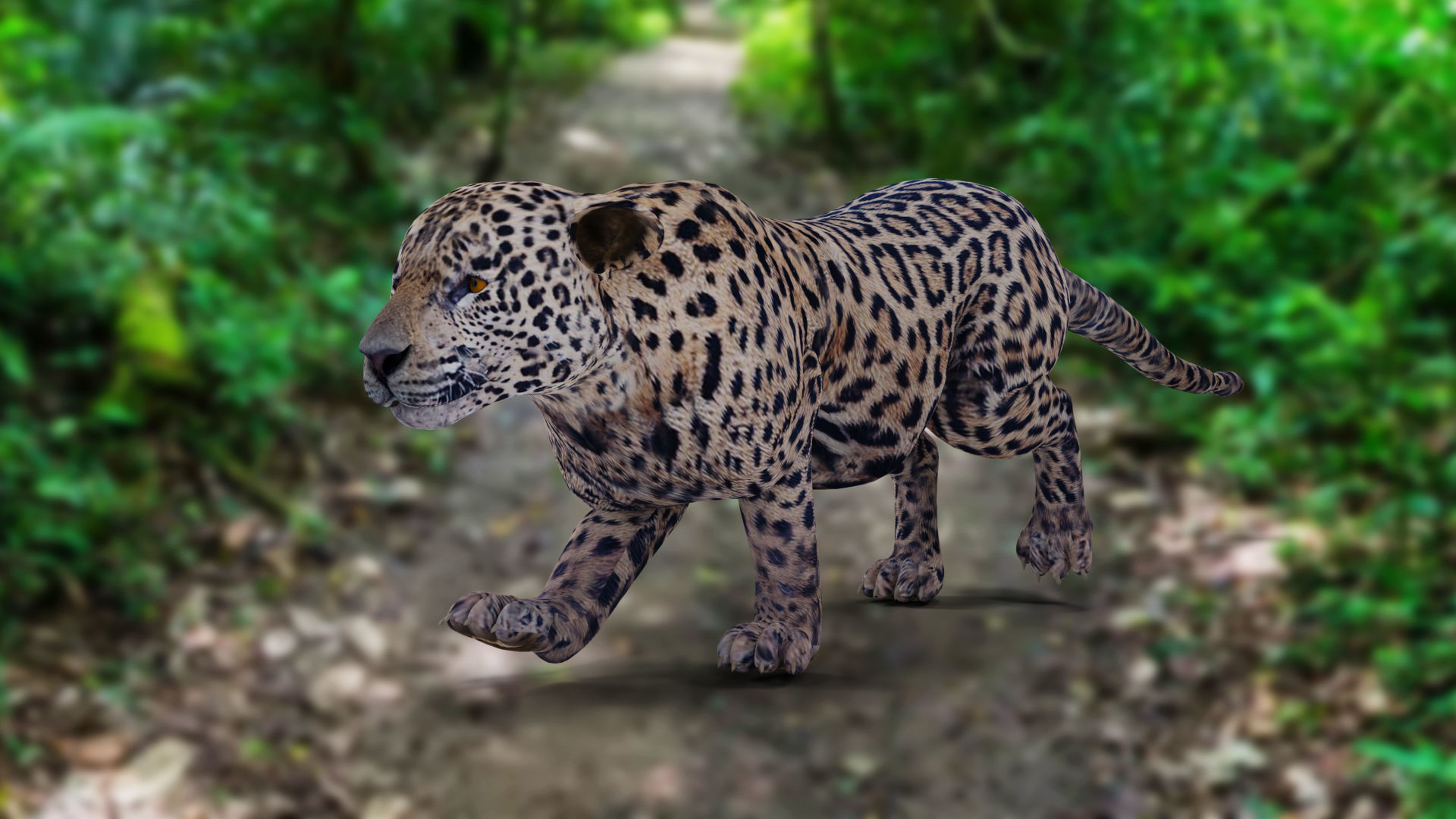 Jaguar Rigged in Blender Low-poly 3D model_7