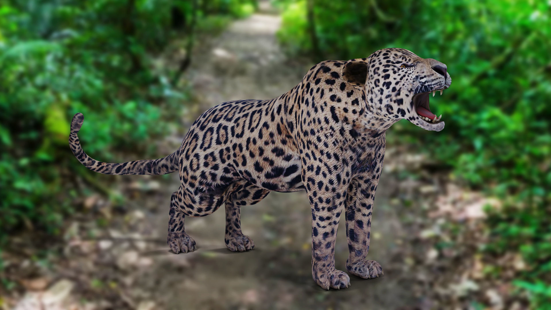 Jaguar Rigged in Blender Low-poly 3D model_8