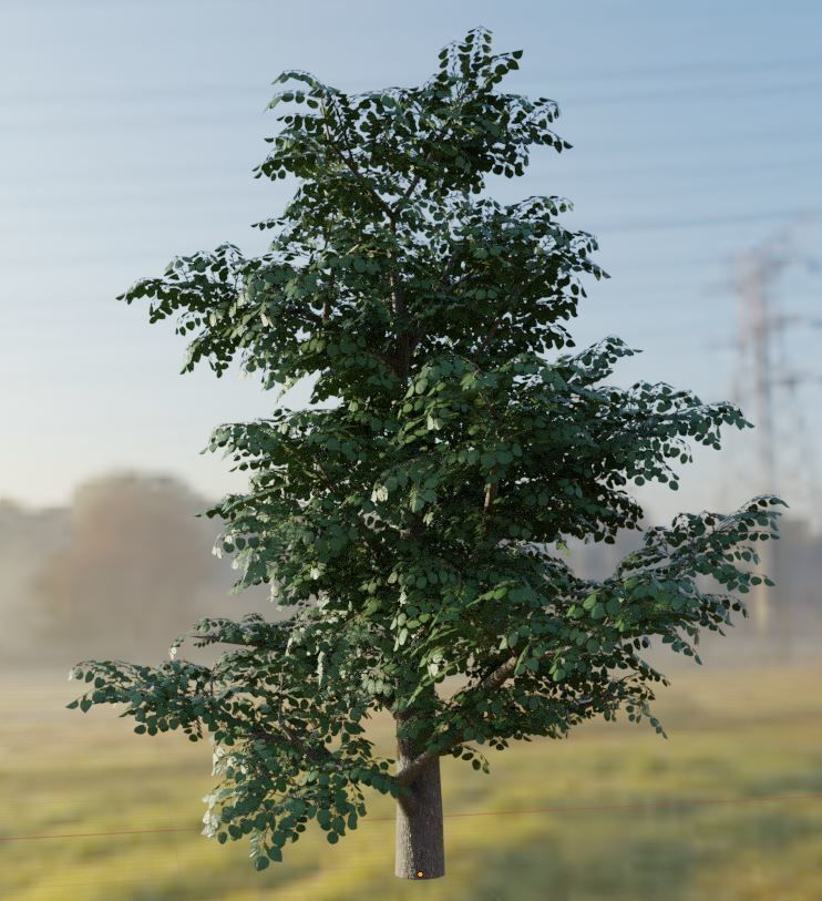 Empress-Tree Package Low-poly 3D model_10