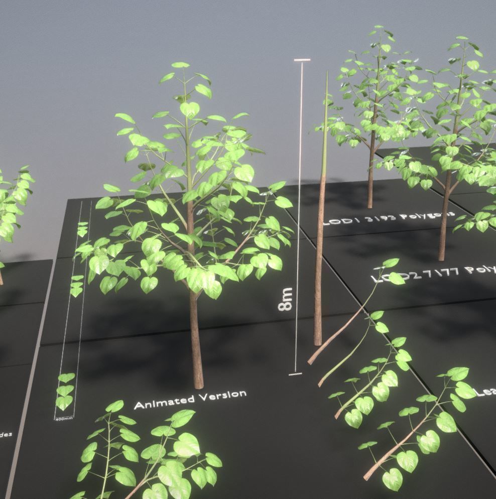 Empress-Tree Package Low-poly 3D model_32