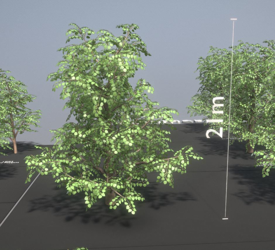 Empress-Tree Package Low-poly 3D model_24