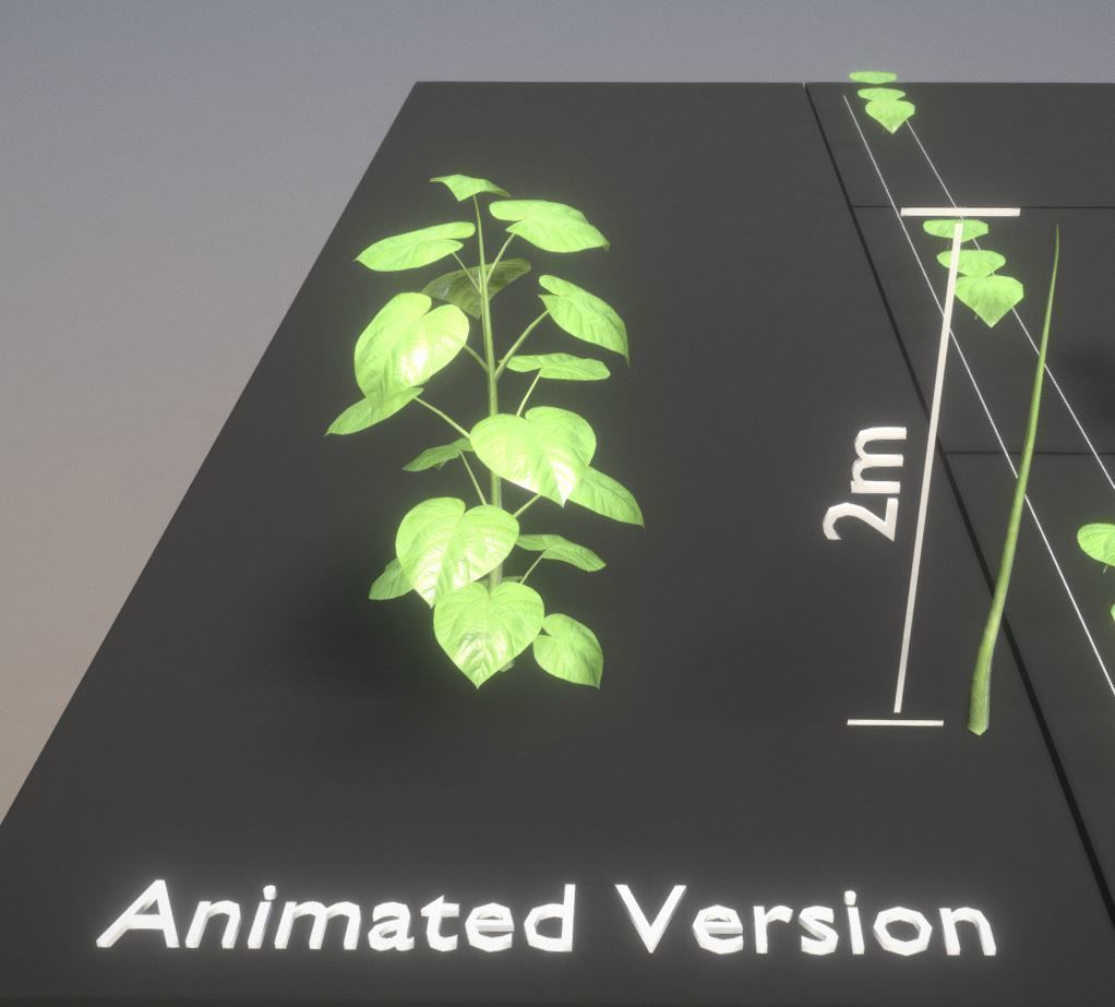 Empress-Tree Package Low-poly 3D model_31