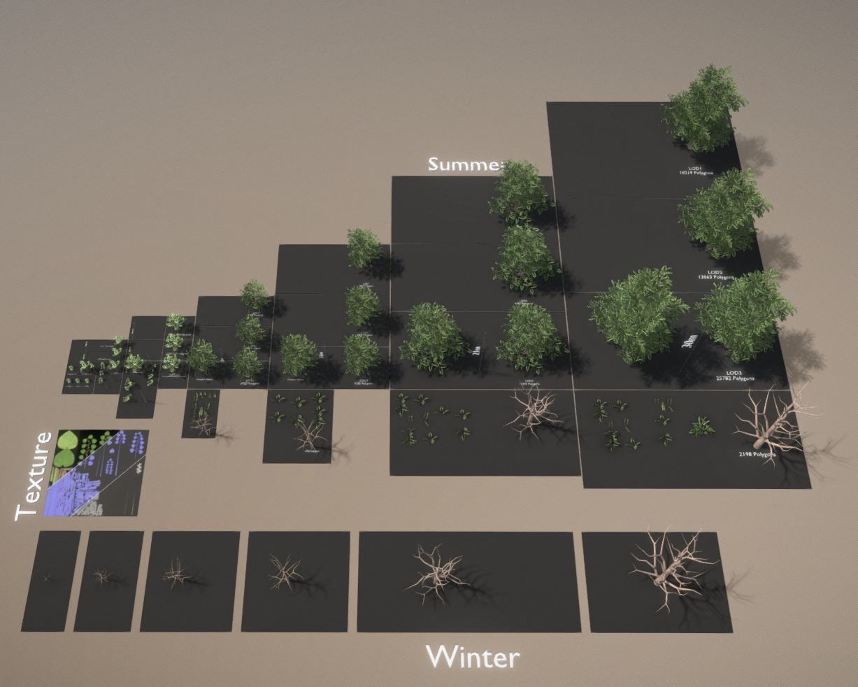 Empress-Tree Package Low-poly 3D model_35