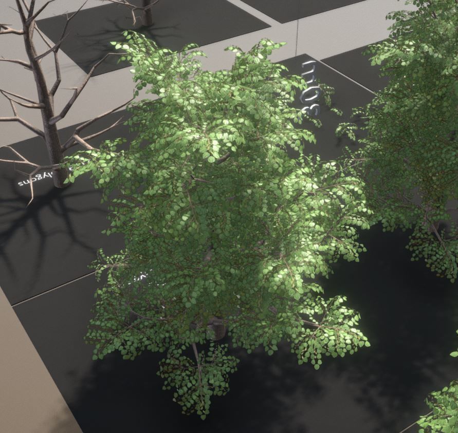 Empress-Tree Package Low-poly 3D model_21