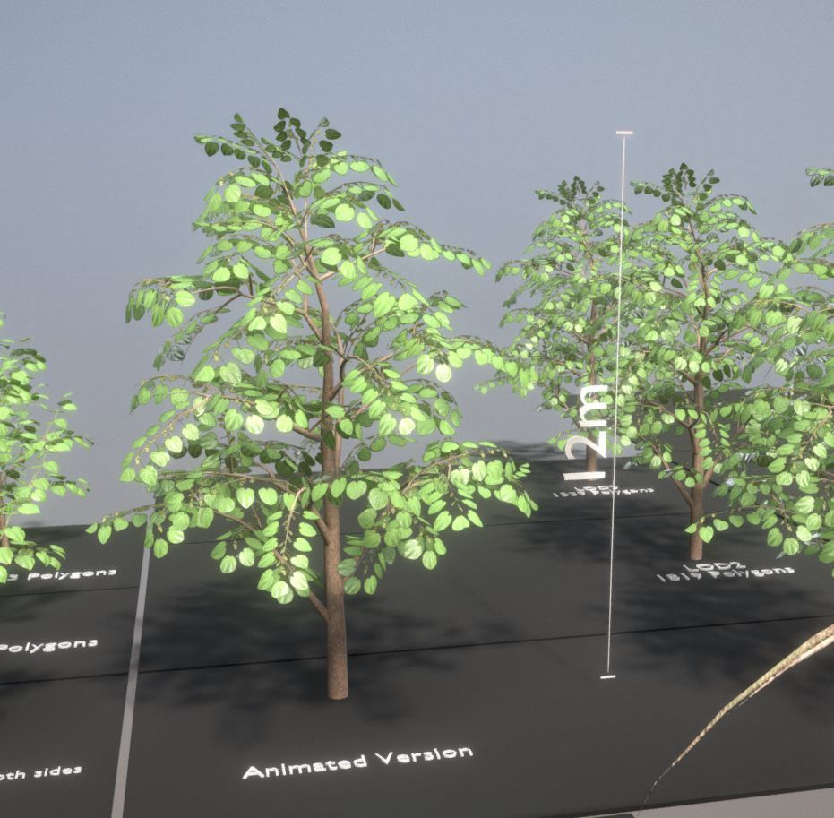 Empress-Tree Package Low-poly 3D model_27