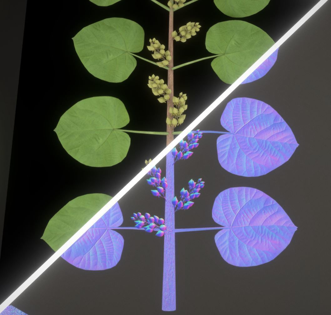 Empress-Tree Package Low-poly 3D model_25