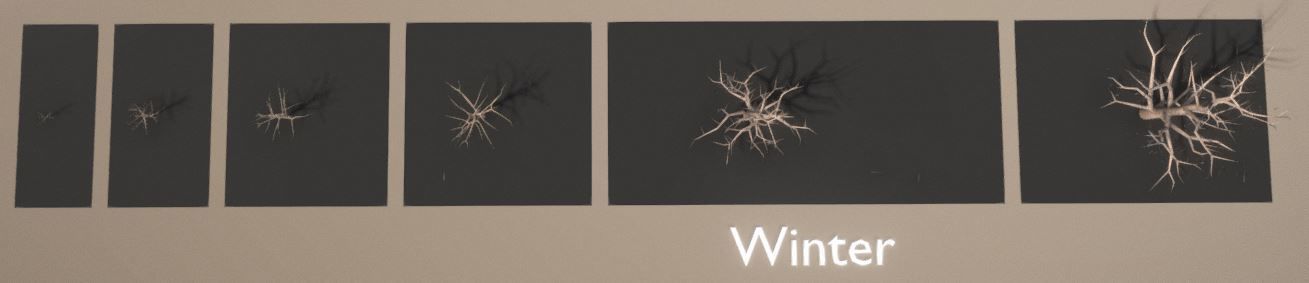 Empress-Tree Package Low-poly 3D model_23