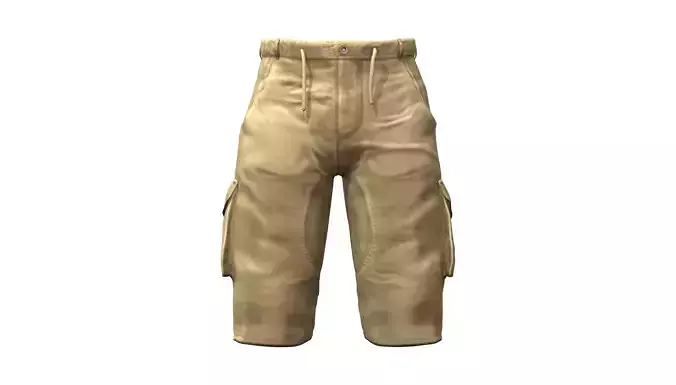 Cargo Shorts Pants